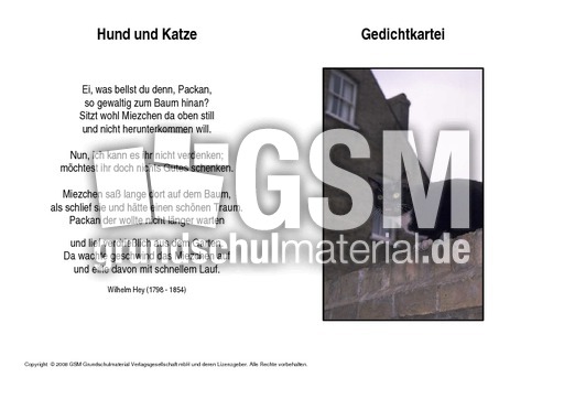 Hund-und-Katze-Hey.pdf